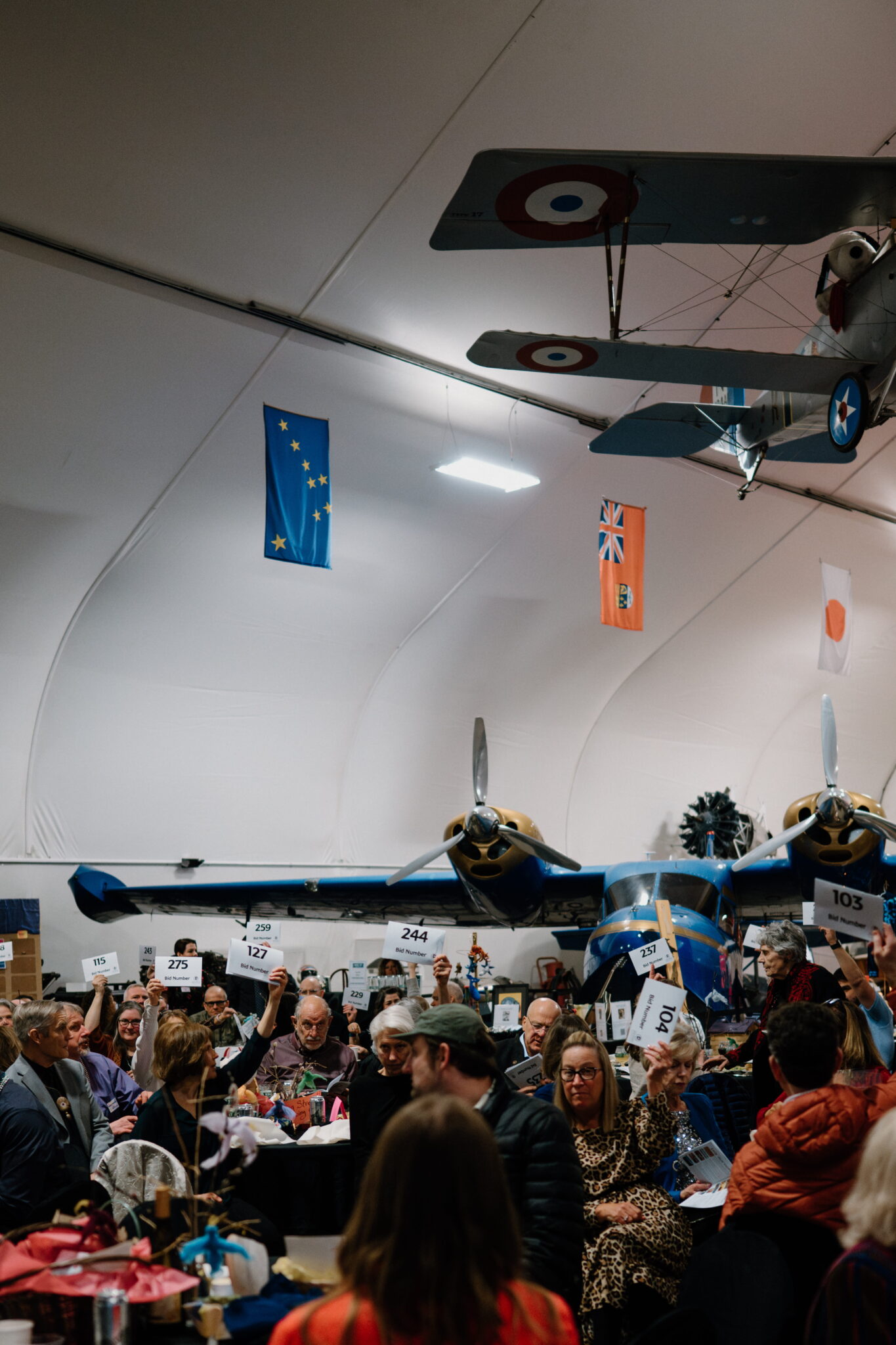 a room full of numbers raised for an auction item at the spring gala